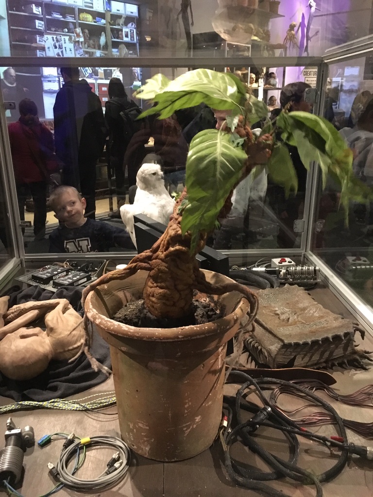 London Day Five – The one with the magic