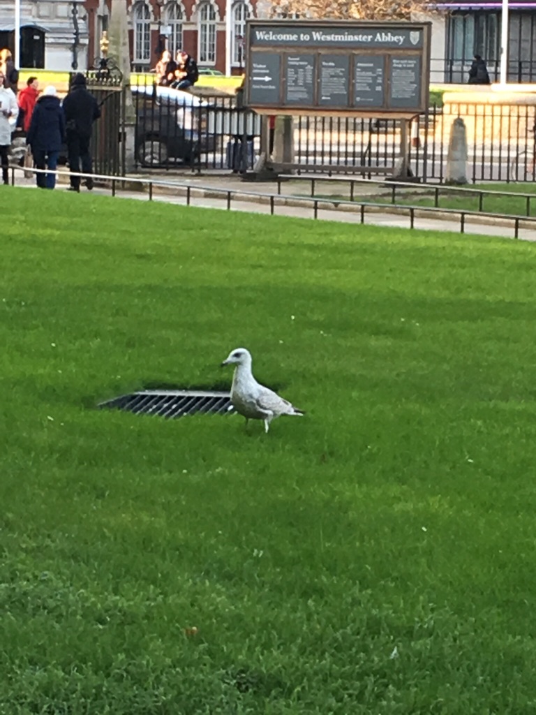 London Day Seven – The one without a point